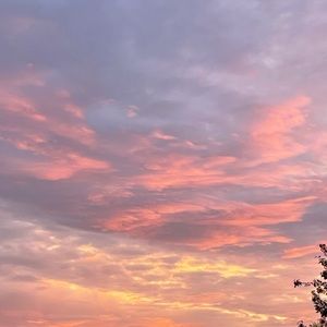 Meet your Posher, Geniel